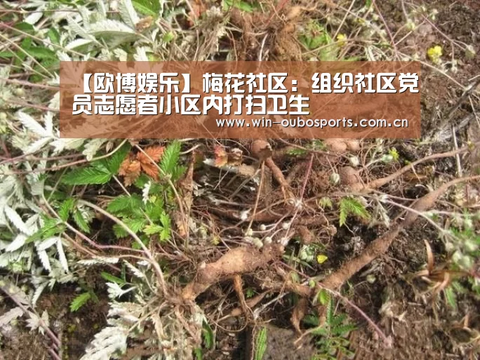 欧博官网abg
